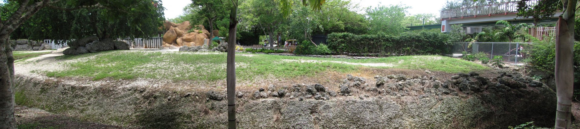 Indian Rhinoceros Exhibit Rear View