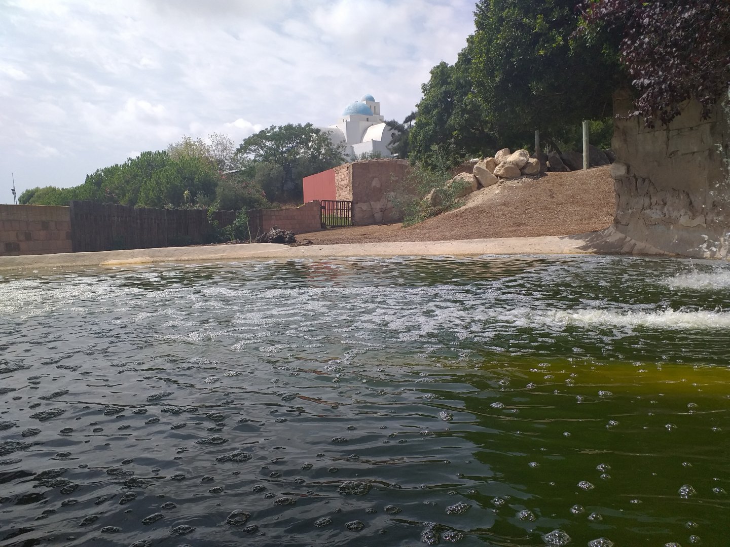 Indian rhinoceros exhibit -TerraNatura Benidorm (2021)