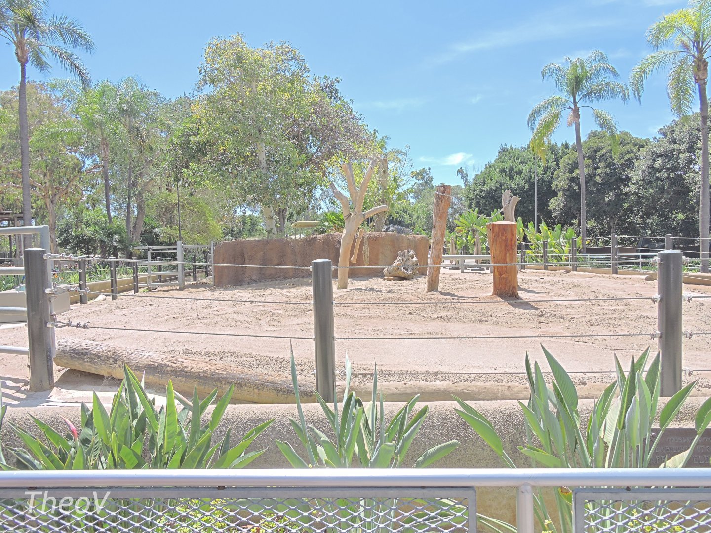 Indian rhinoceros exhibit - Urban Jungle [2015]