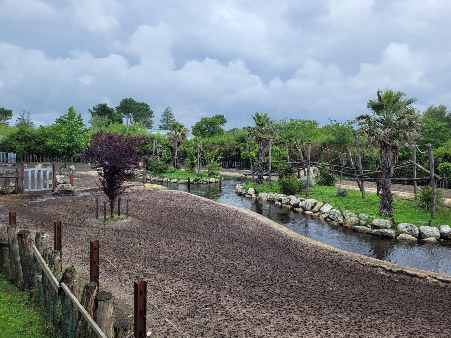 Indian rhinoceros exhibit with gibbon island in the middle of the lake -Zoo du bassin d'Arcachon (2024)