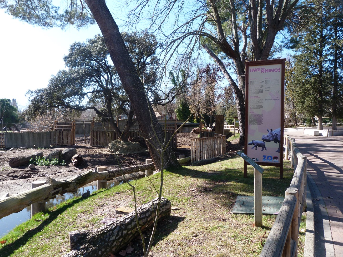 Indian rhinoceros exhibit -Zoo Aquarium de Madrid (2025)