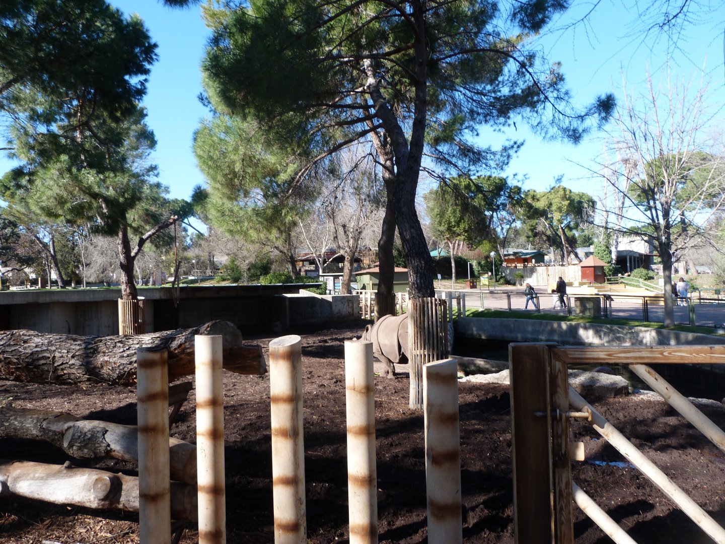 Indian rhinoceros exhibit -Zoo Aquarium de Madrid (2025)