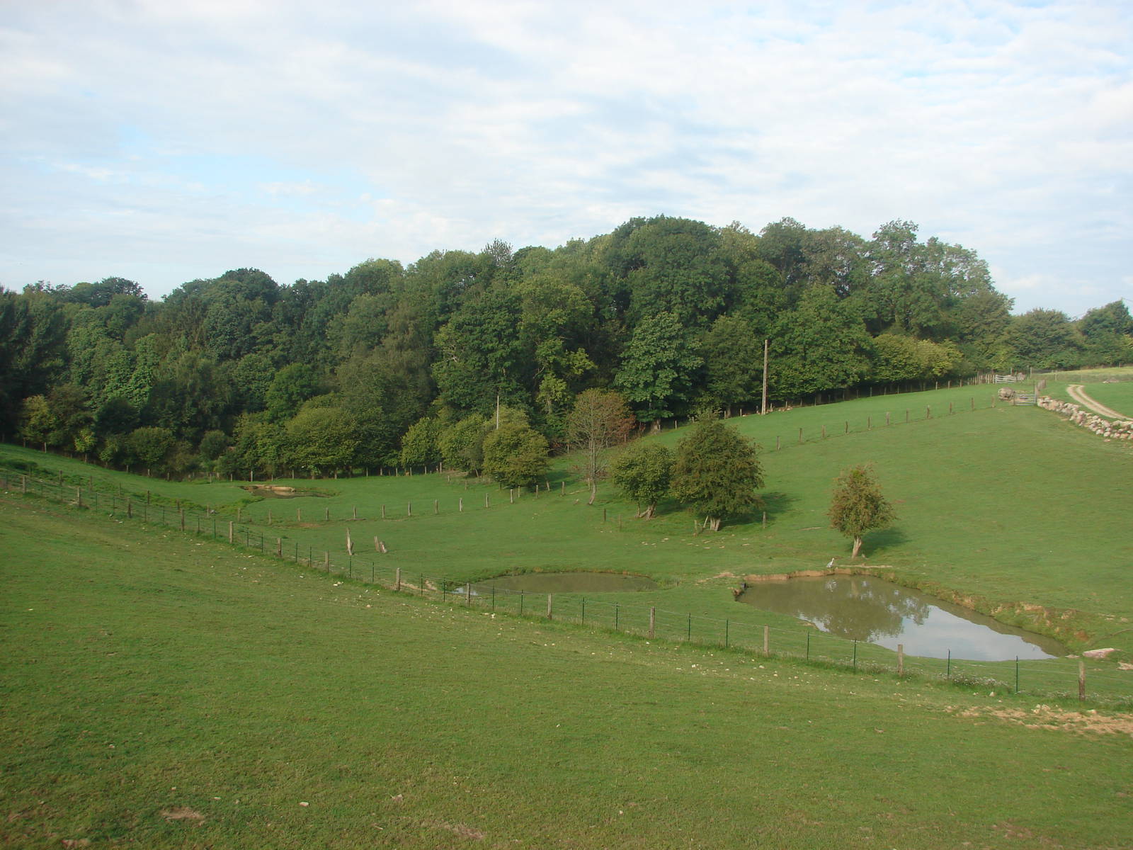 Indian rhinoceros exhibit