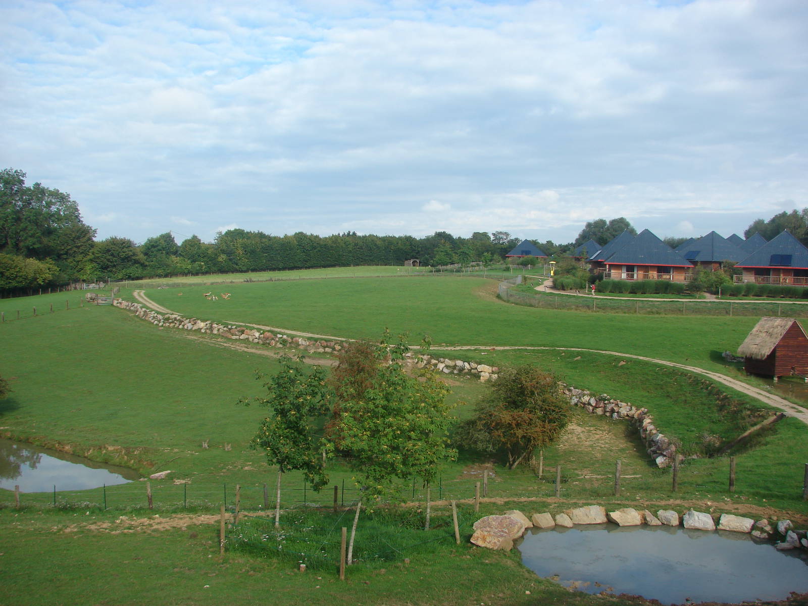 Indian rhinoceros exhibit