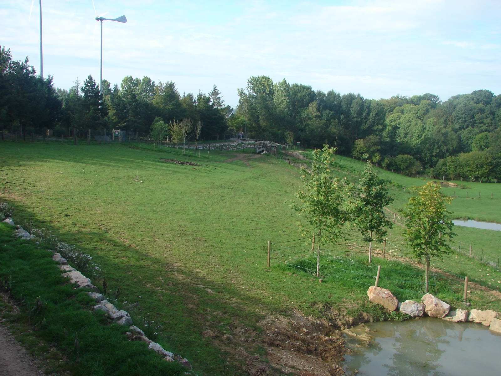 Indian rhinoceros exhibit