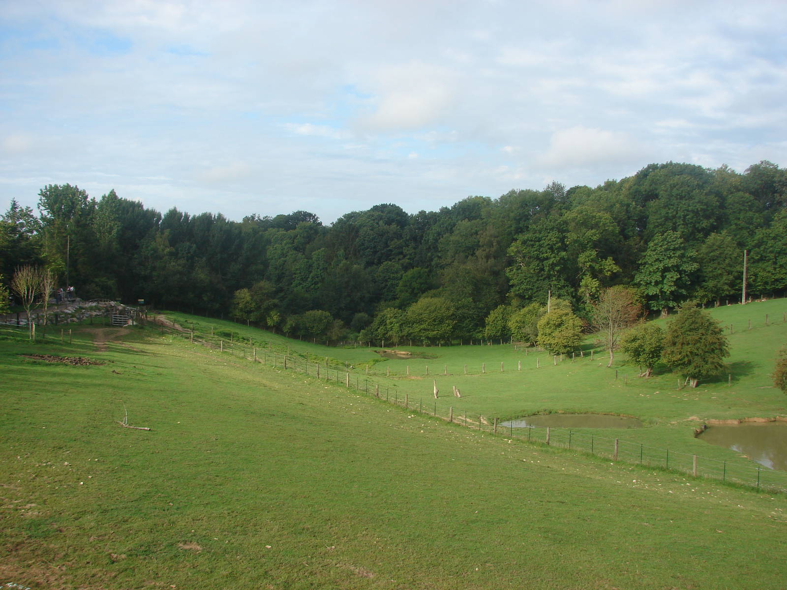 Indian rhinoceros exhibit
