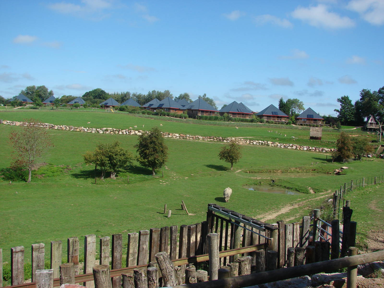 Indian rhinoceros exhibit