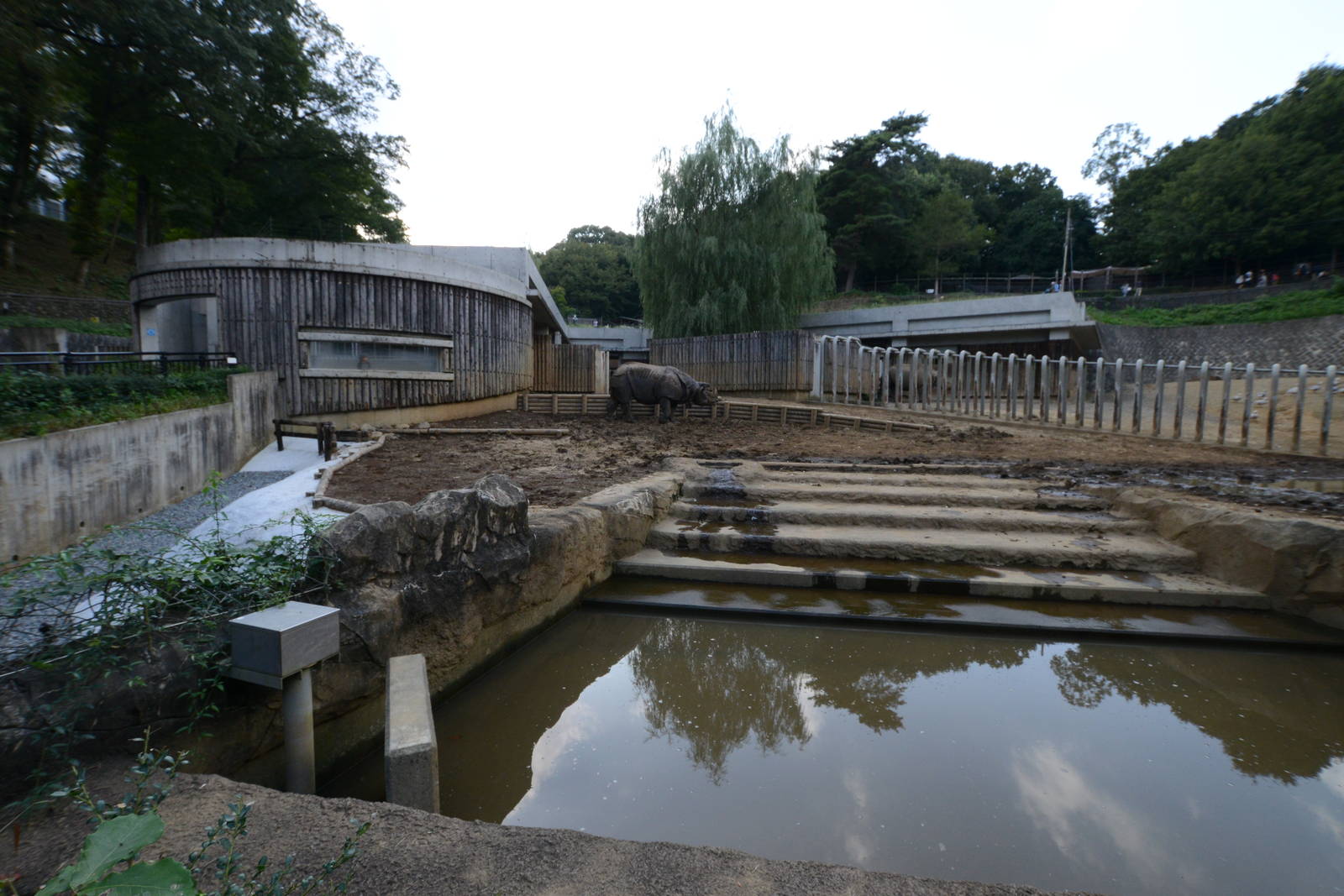 Indian rhinoceros exhibit