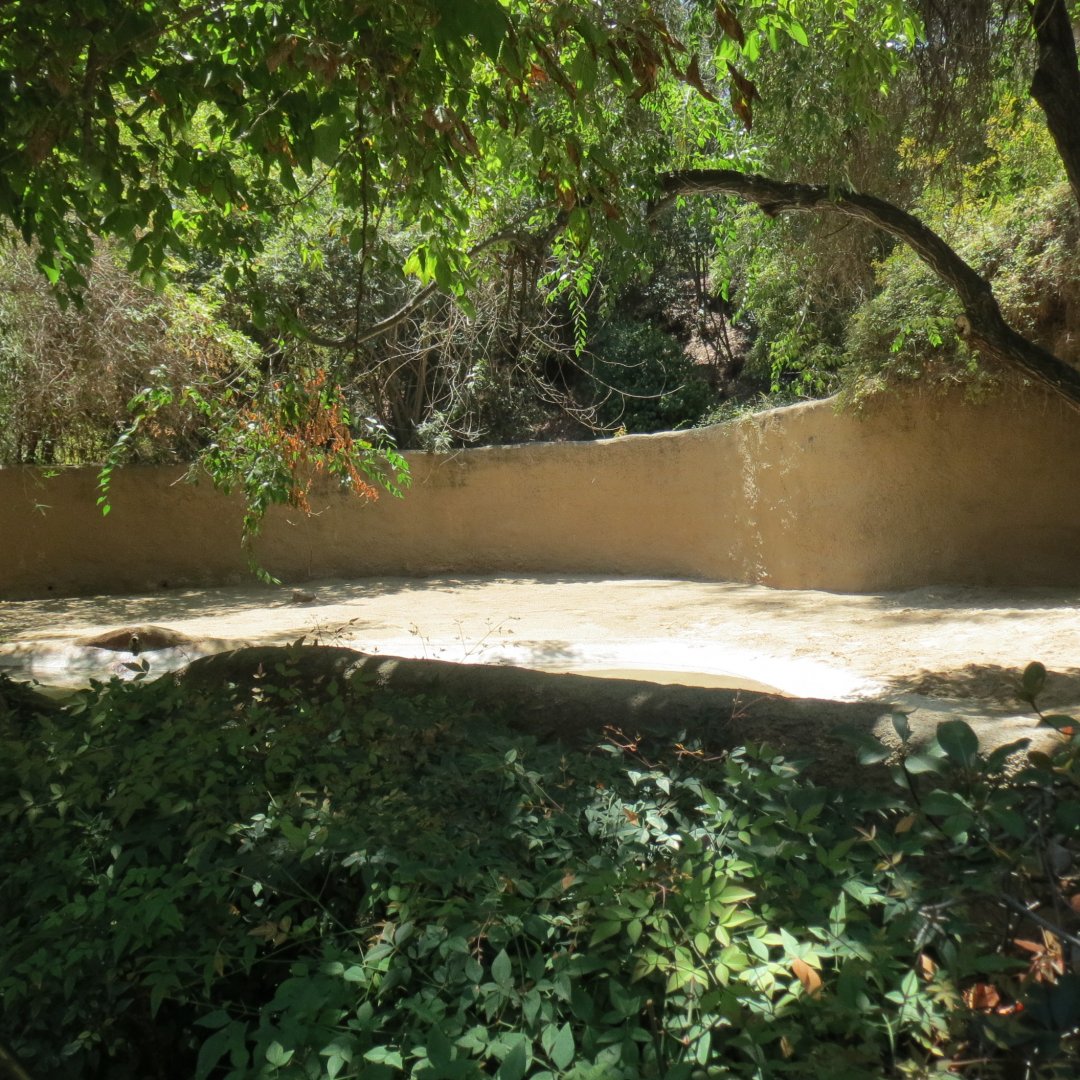 Indian Rhinoceros Exhibit