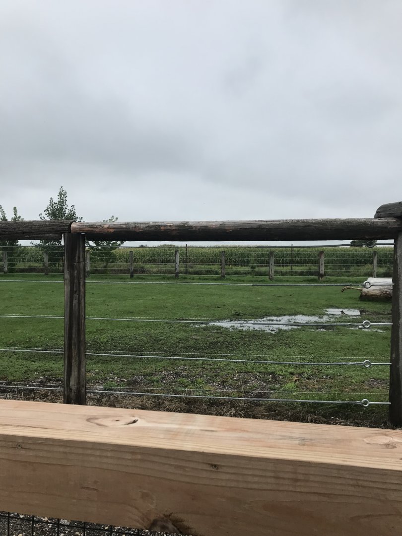 Indian Rhinoceros Exhibit