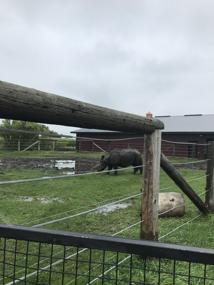 Indian Rhinoceros Exhibit