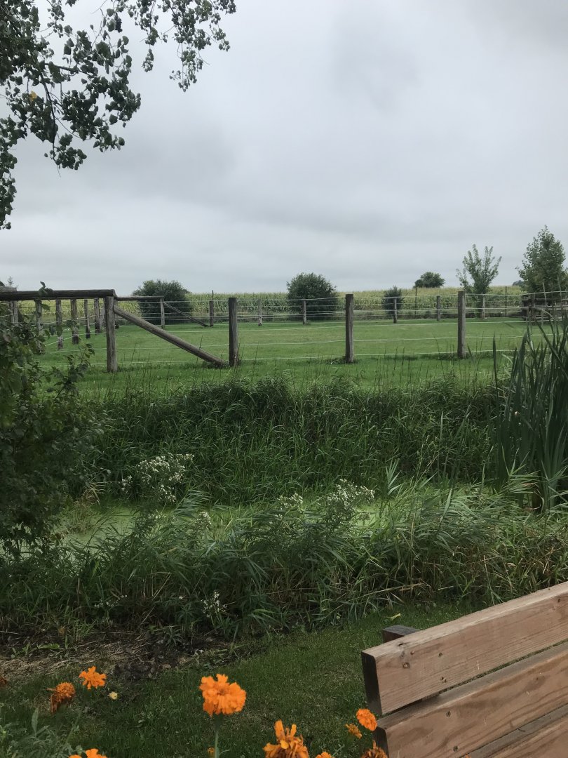 Indian Rhinoceros Exhibit