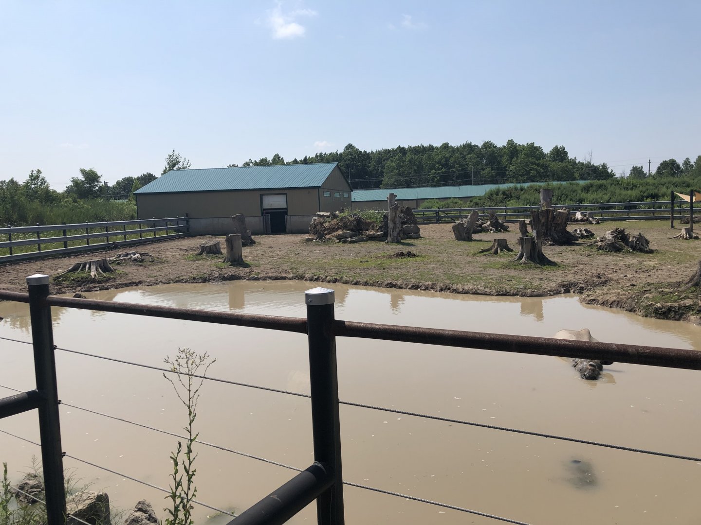 Indian Rhinoceros Exhibit