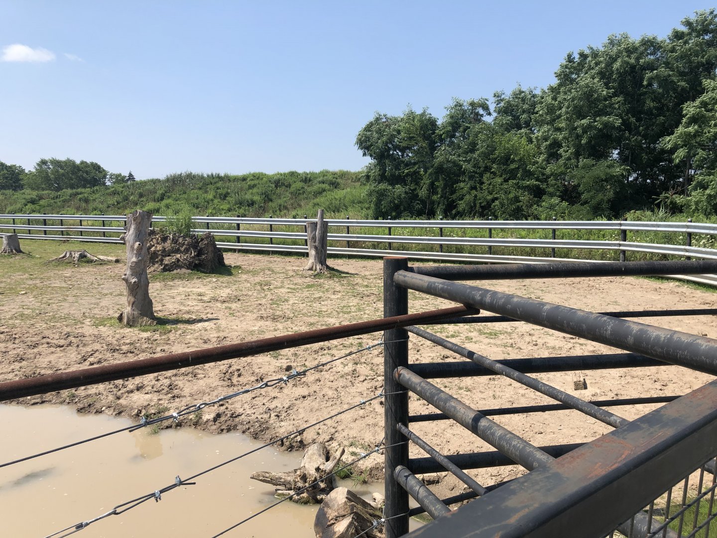 Indian Rhinoceros Exhibit