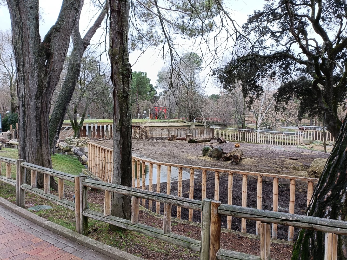 Indian rhinoceros exhibit