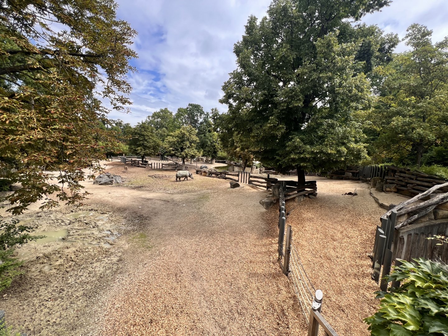 Indian Rhinoceros Exhibit