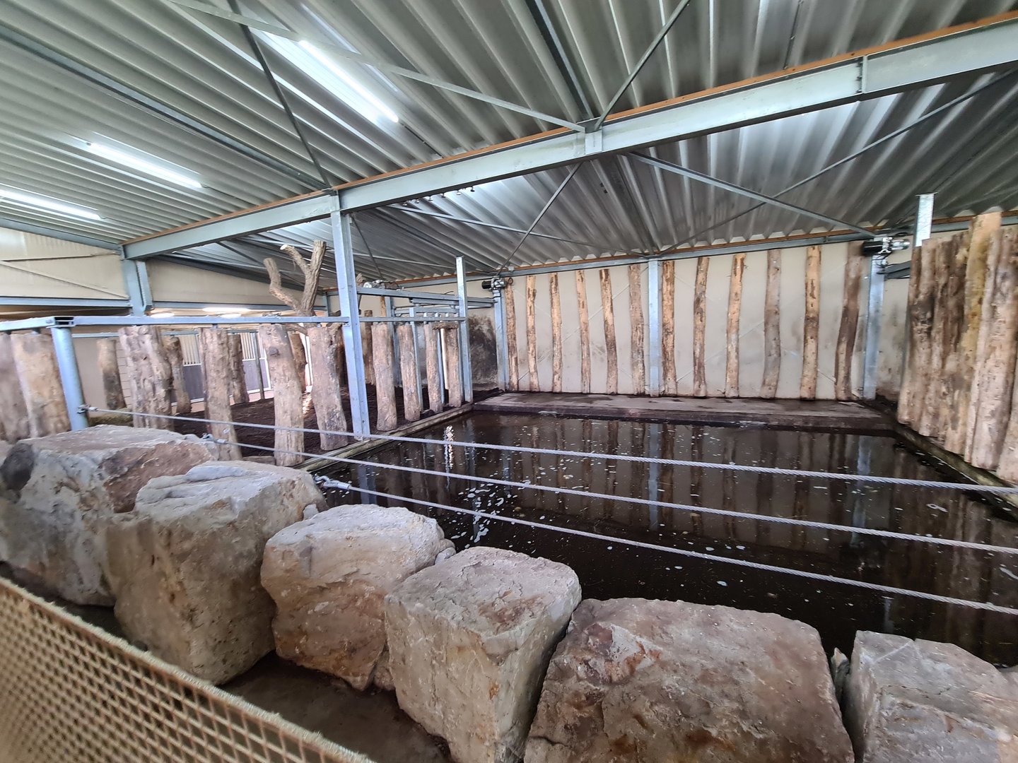 Indian rhinoceros indoor enclosure