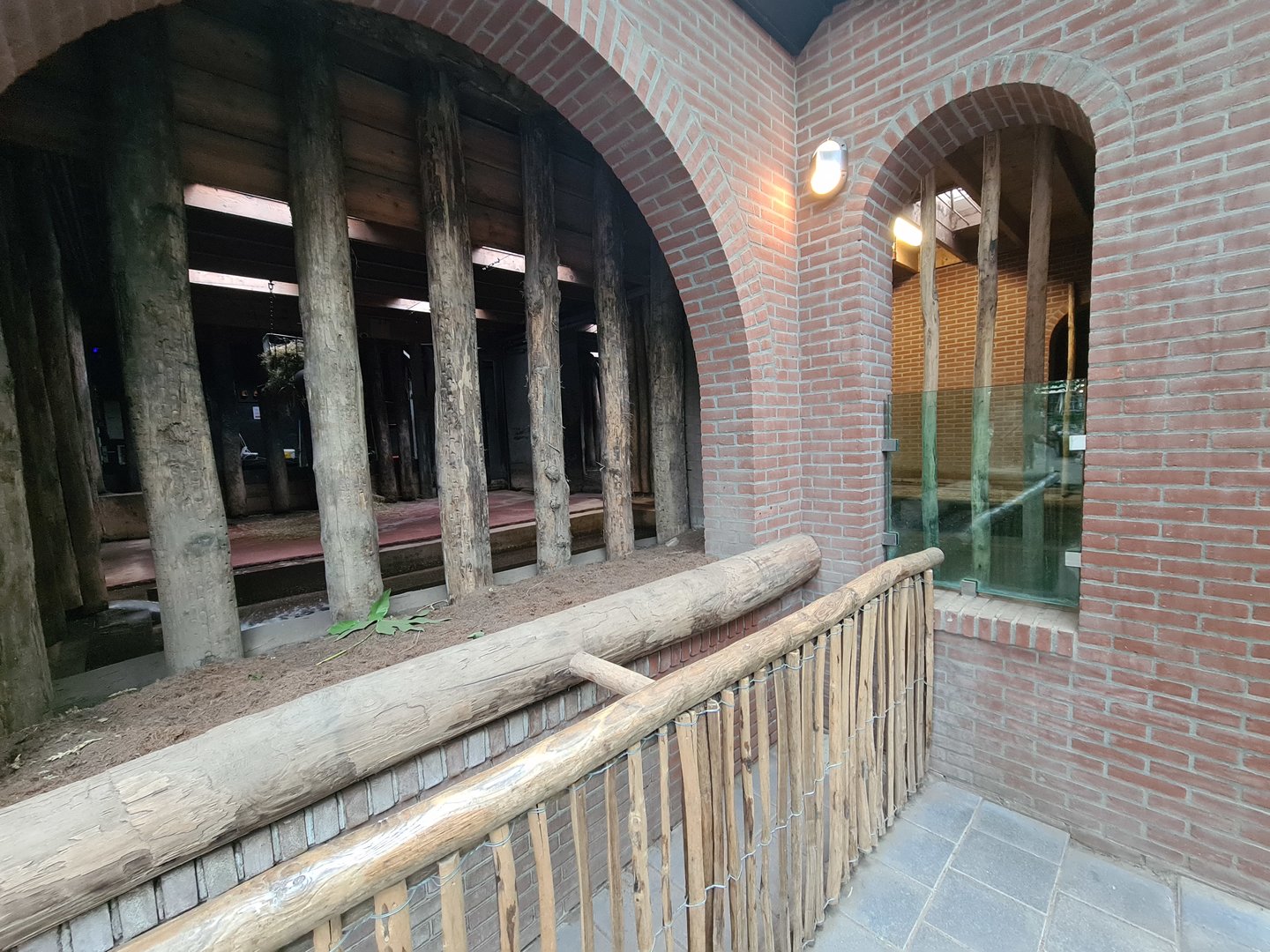 Indian Rhinoceros indoor enclosure