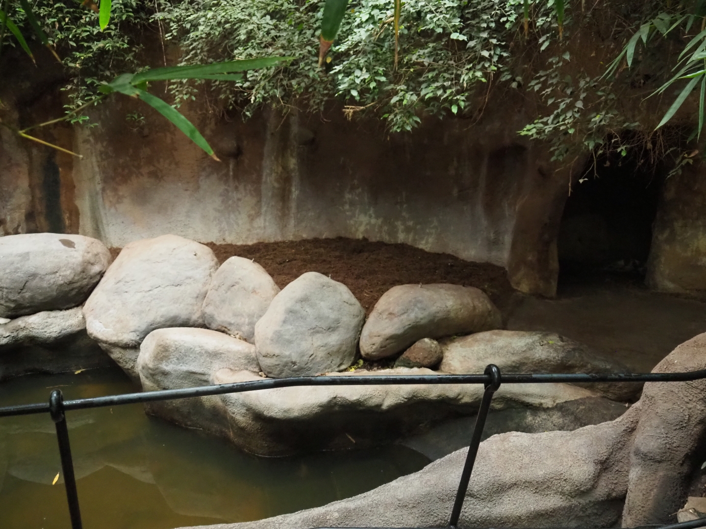 Indian rhinoceros indoor housing in Taman Indah (Nov 10th, 2018)