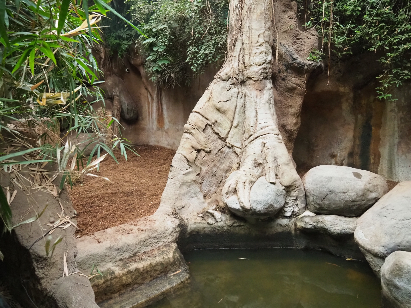 Indian rhinoceros indoor housing in Taman Indah (Nov 10th, 2018)