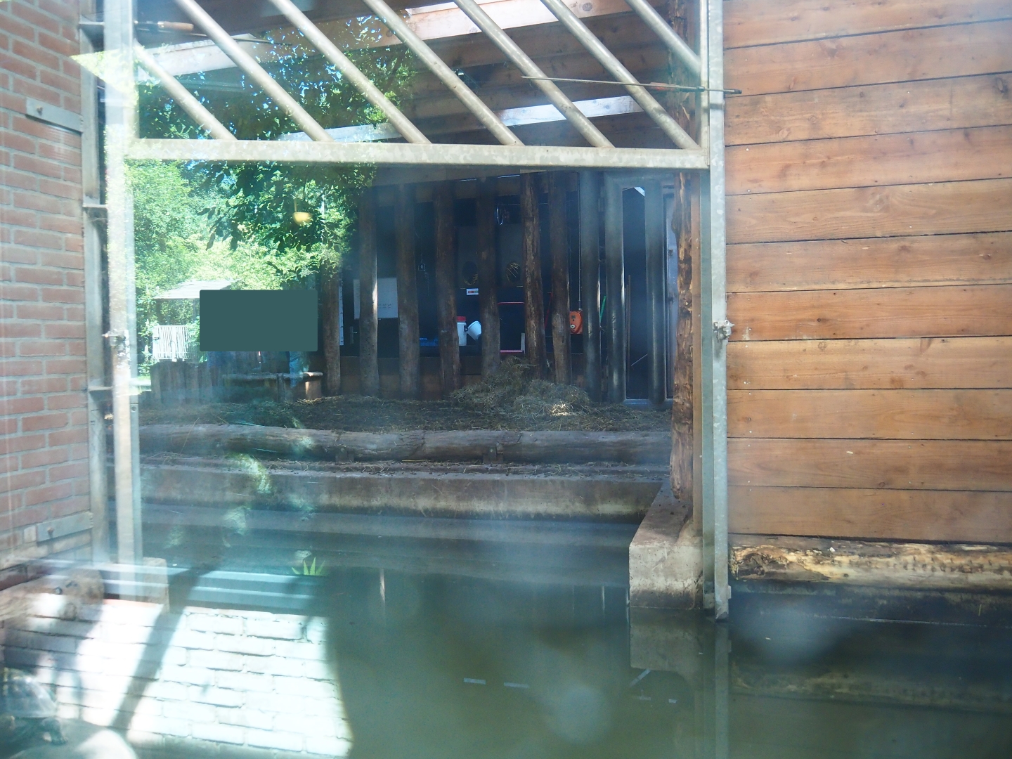 Indian rhinoceros indoor pool and stable