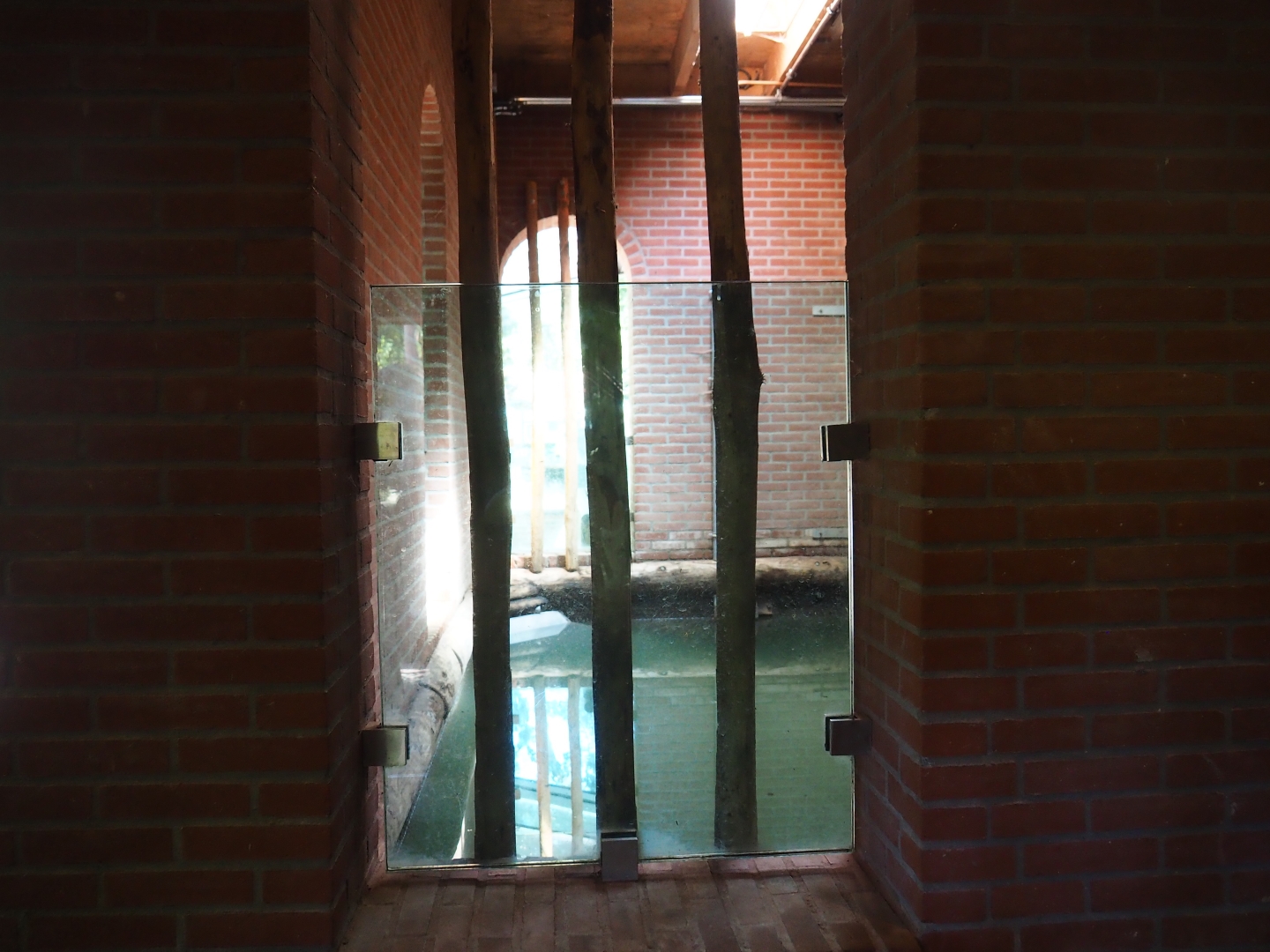 Indian rhinoceros indoor pool