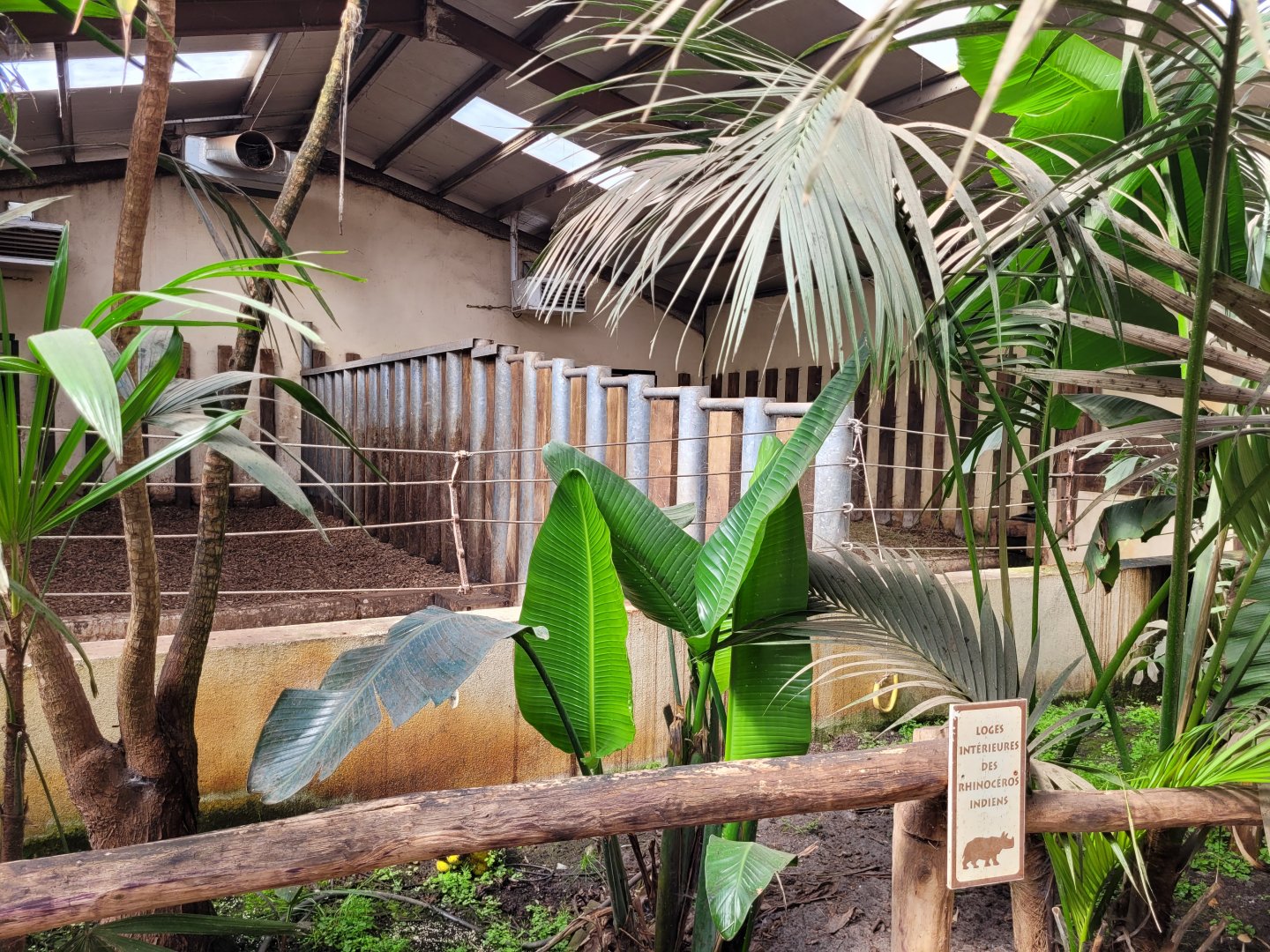Indian rhinoceros indoors stalls -Zoo du bassin d'Arcachon (2024)