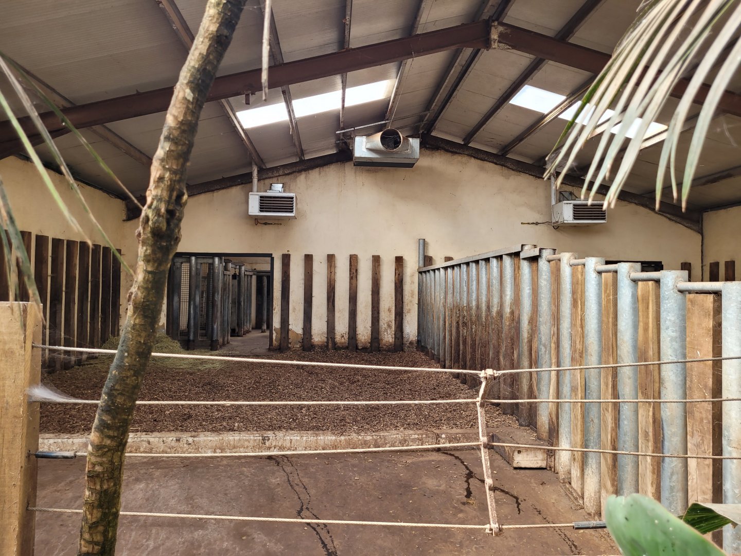 Indian rhinoceros indoors stalls -Zoo du bassin d'Arcachon (2024)