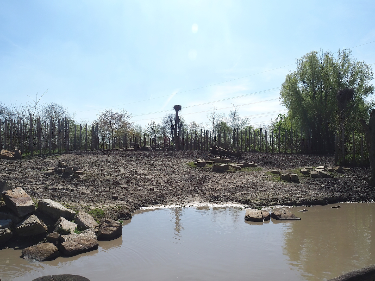 Indian rhinoceros, Nilgai, Indian hog deer and Visayan warty pig exhibit, 2023-04-30