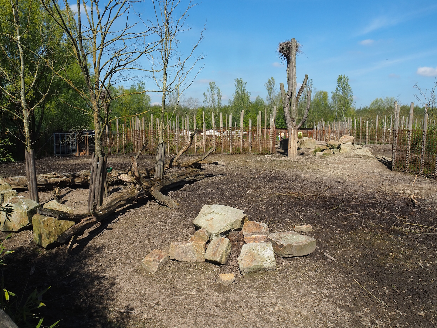 Indian rhinoceros, Nilgai, Indian hog deer and Visayan warty pig exhibit, 2023-04-30