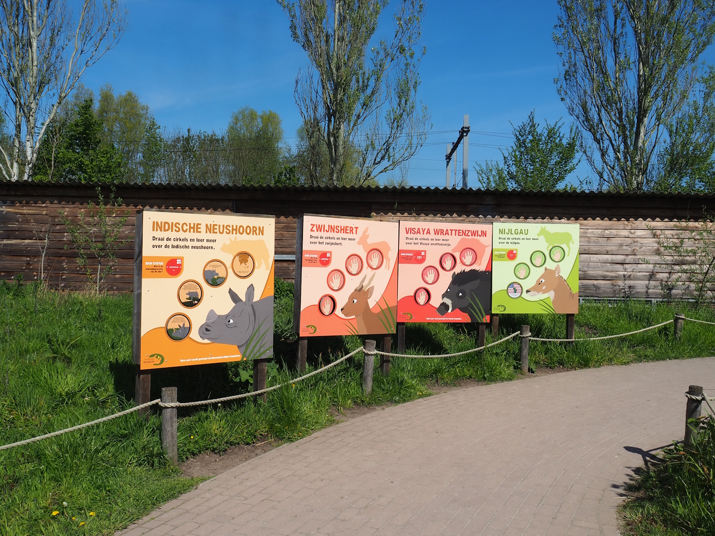 Indian rhinoceros, Nilgai, Indian hog deer and Visayan warty pig exhibit conservation signage, 2023-04-30