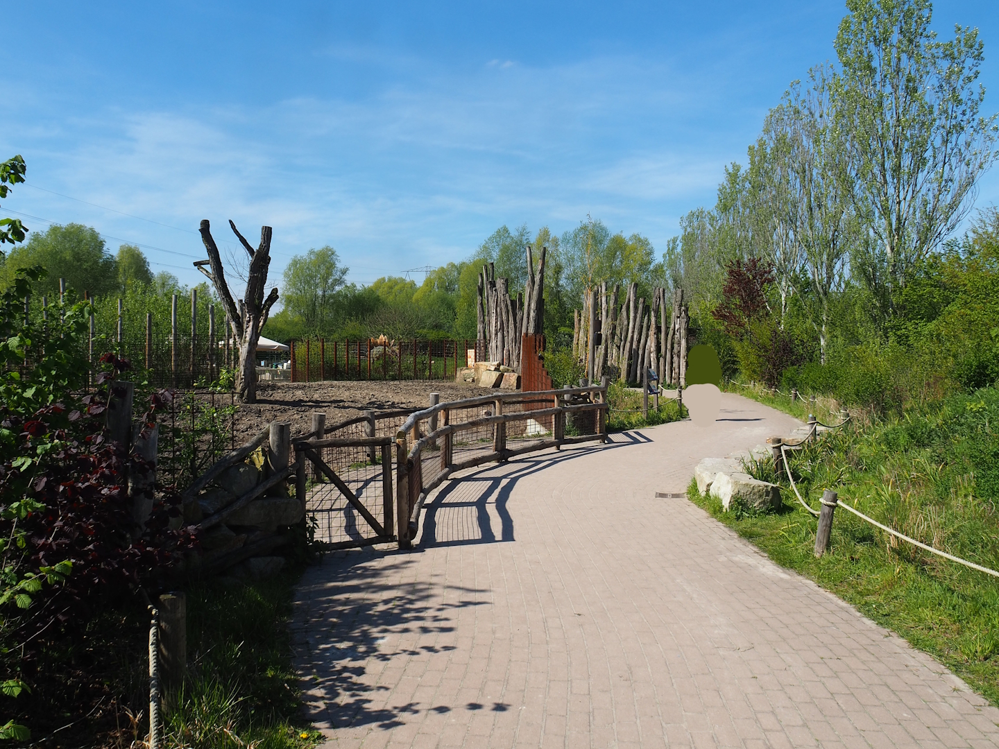 Indian rhinoceros, Nilgai, Indian hog deer and Visayan warty pig exhibit viewing area, 2023-04-30