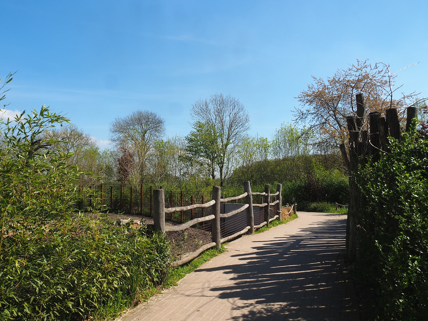 Indian rhinoceros, Nilgai, Indian hog deer and Visayan warty pig exhibit viewing area, 2023-04-30