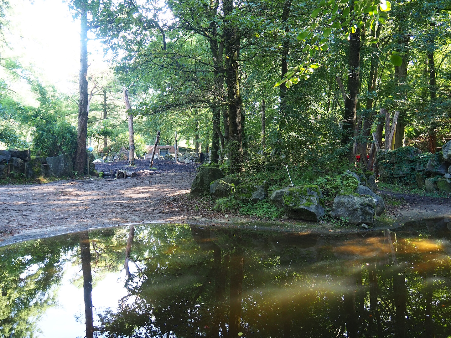Indian rhinoceros paddock, 2023-09-24