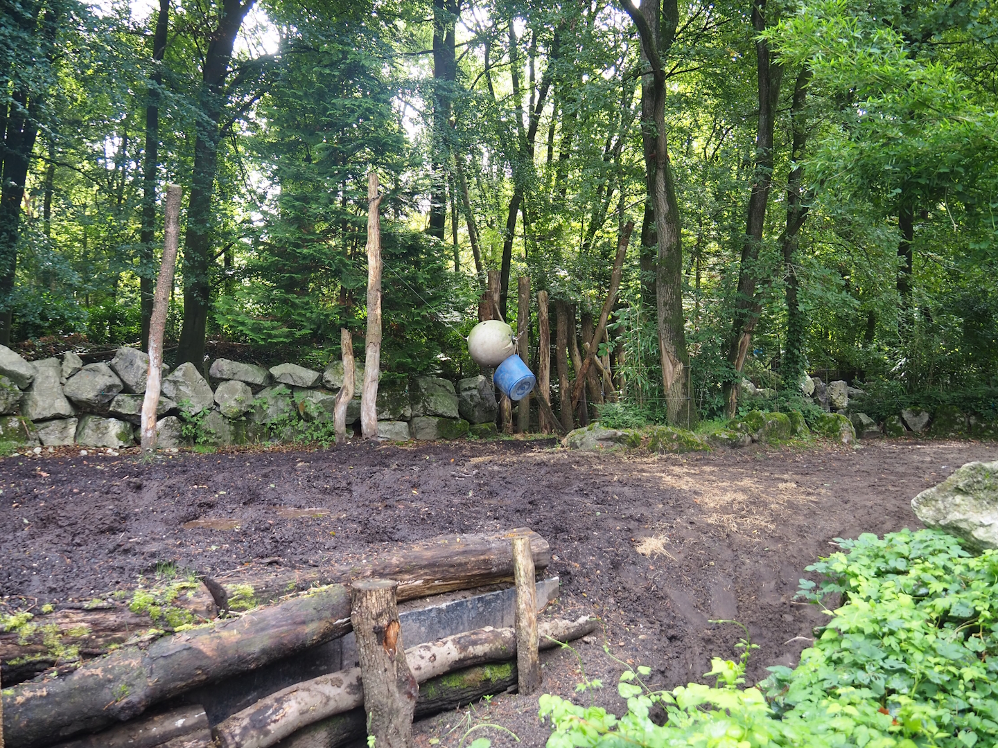 Indian rhinoceros paddock, 2023-09-24