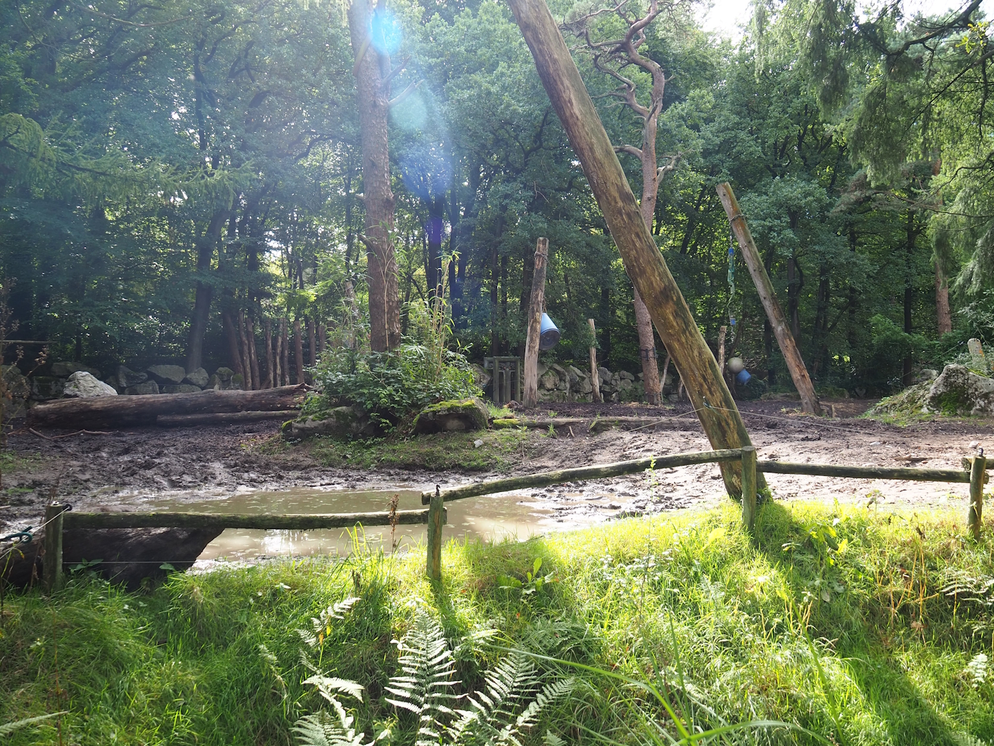 Indian rhinoceros paddock, 2023-09-24