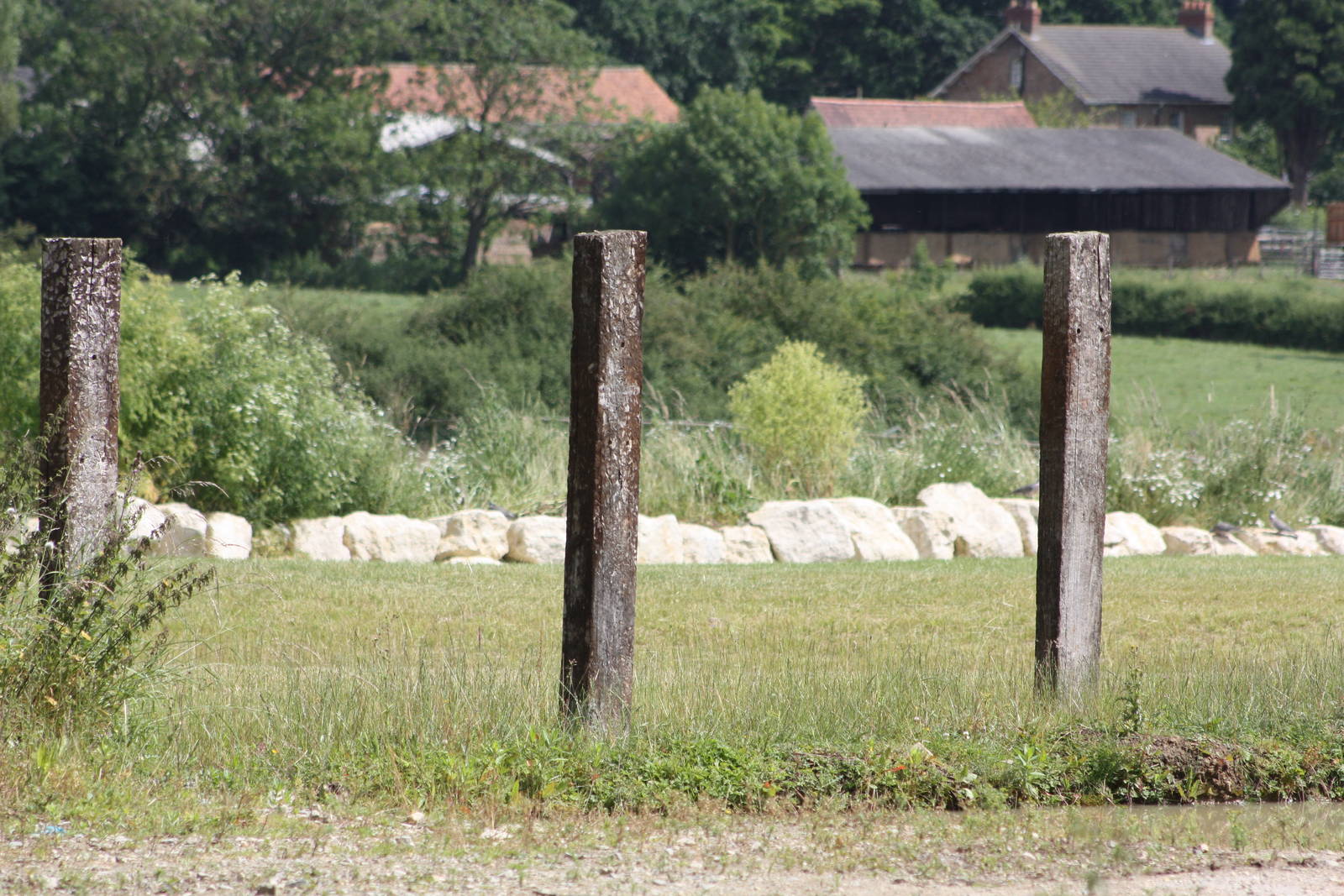 Indian Rhinoceros paddock barriers, 7th July 2014