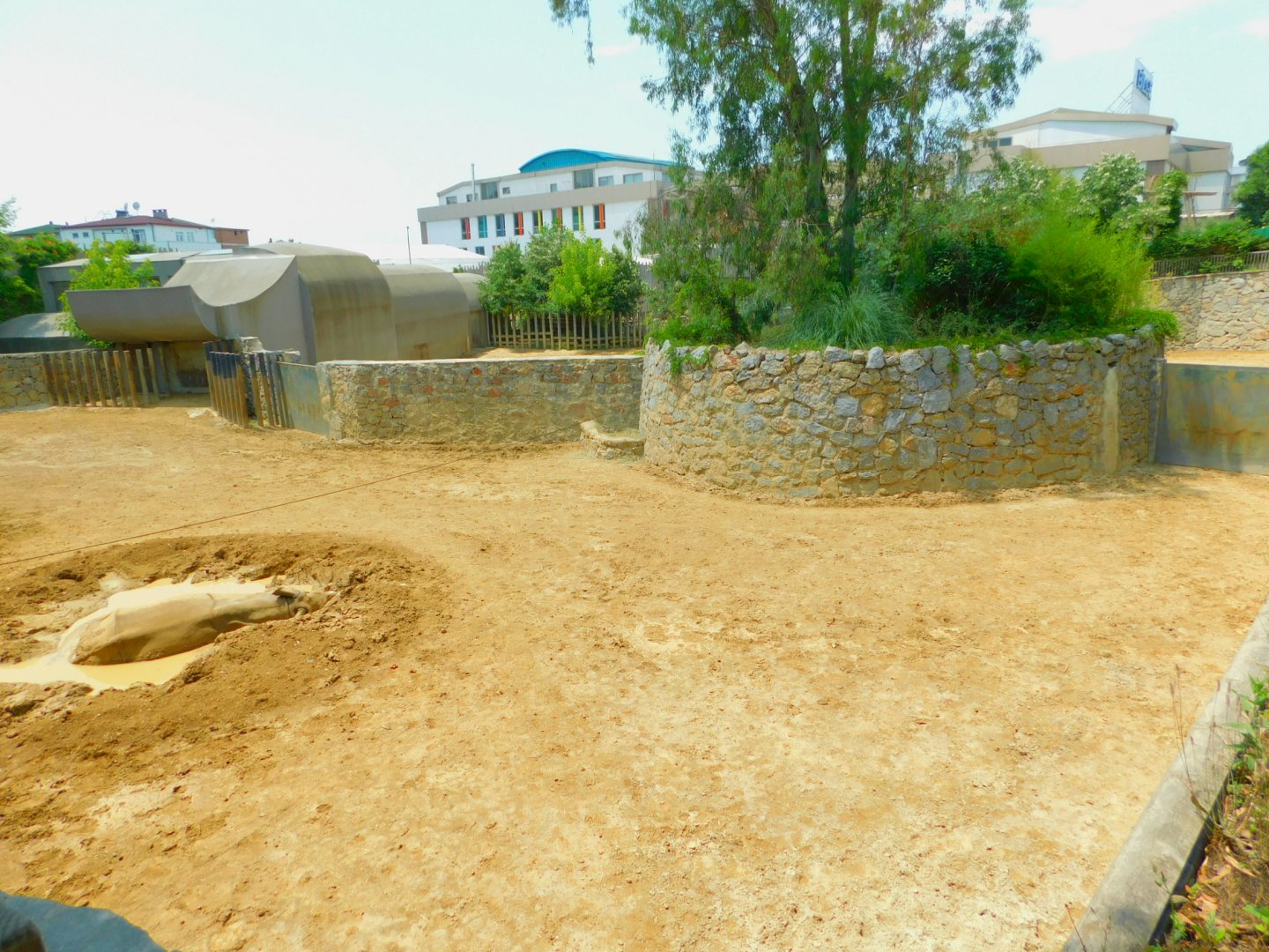 Indian rhinoceros pen