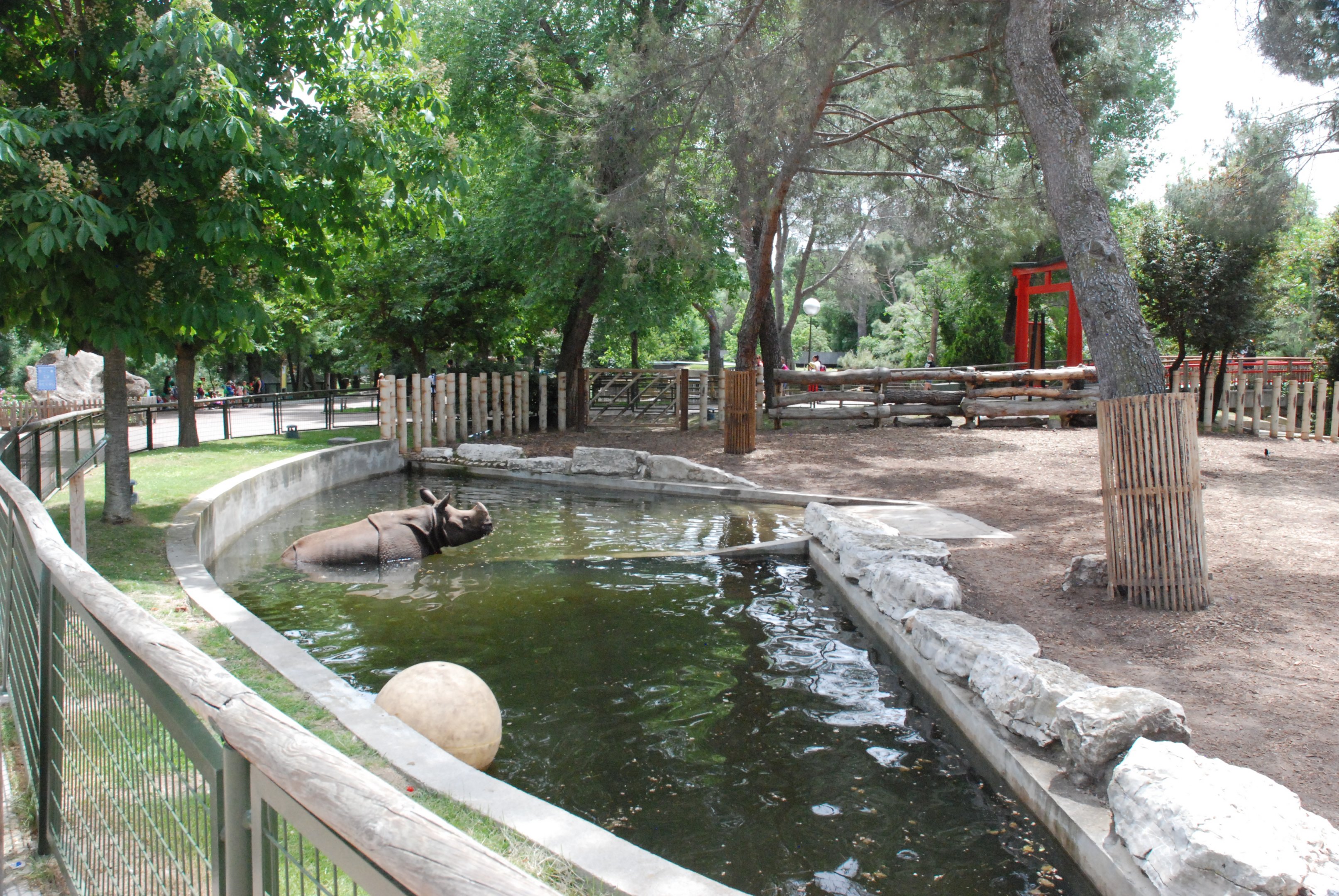 Indian Rhinoceros Pool at Zoo Aquarium de Madrid, 20th May 2022