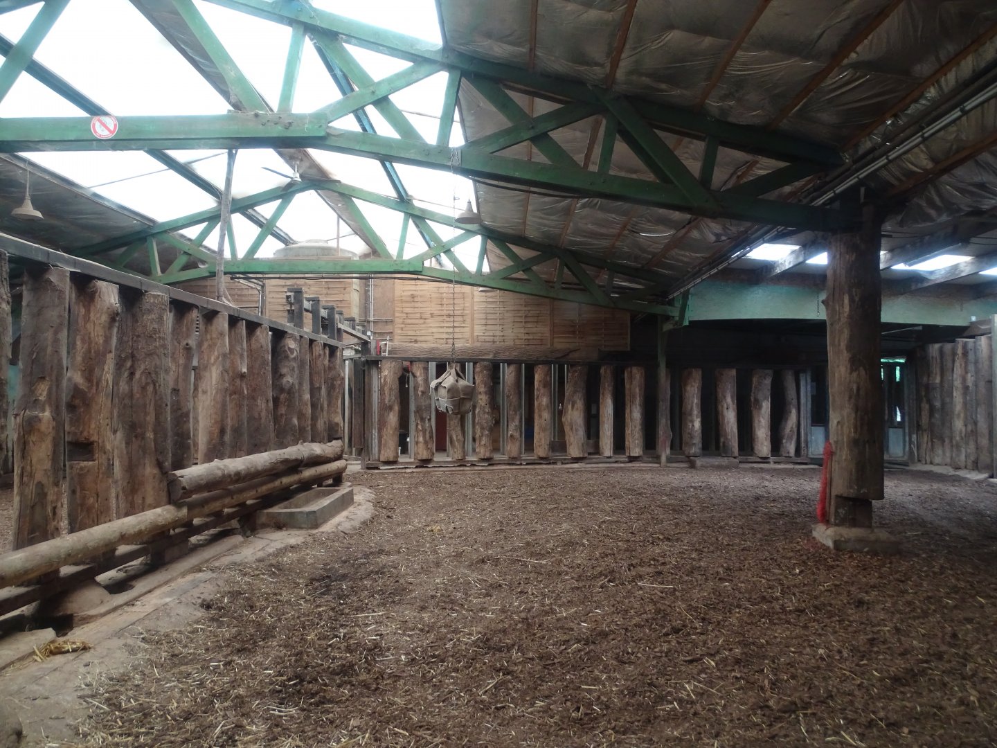 Indian rhinoceros (Rhinoceros unicornis) indoor