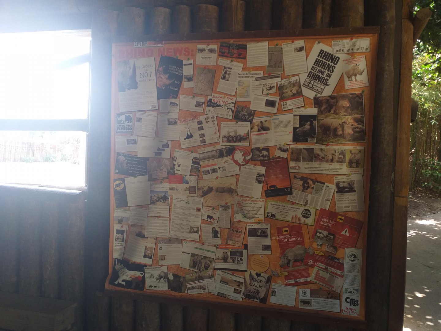 Indian rhinoceros sign -TerraNatura Benidorm (2021)