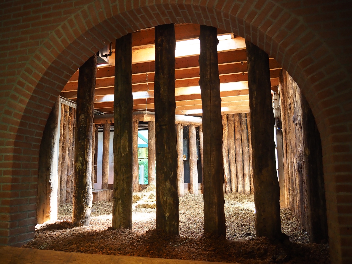 Indian rhinoceros stable