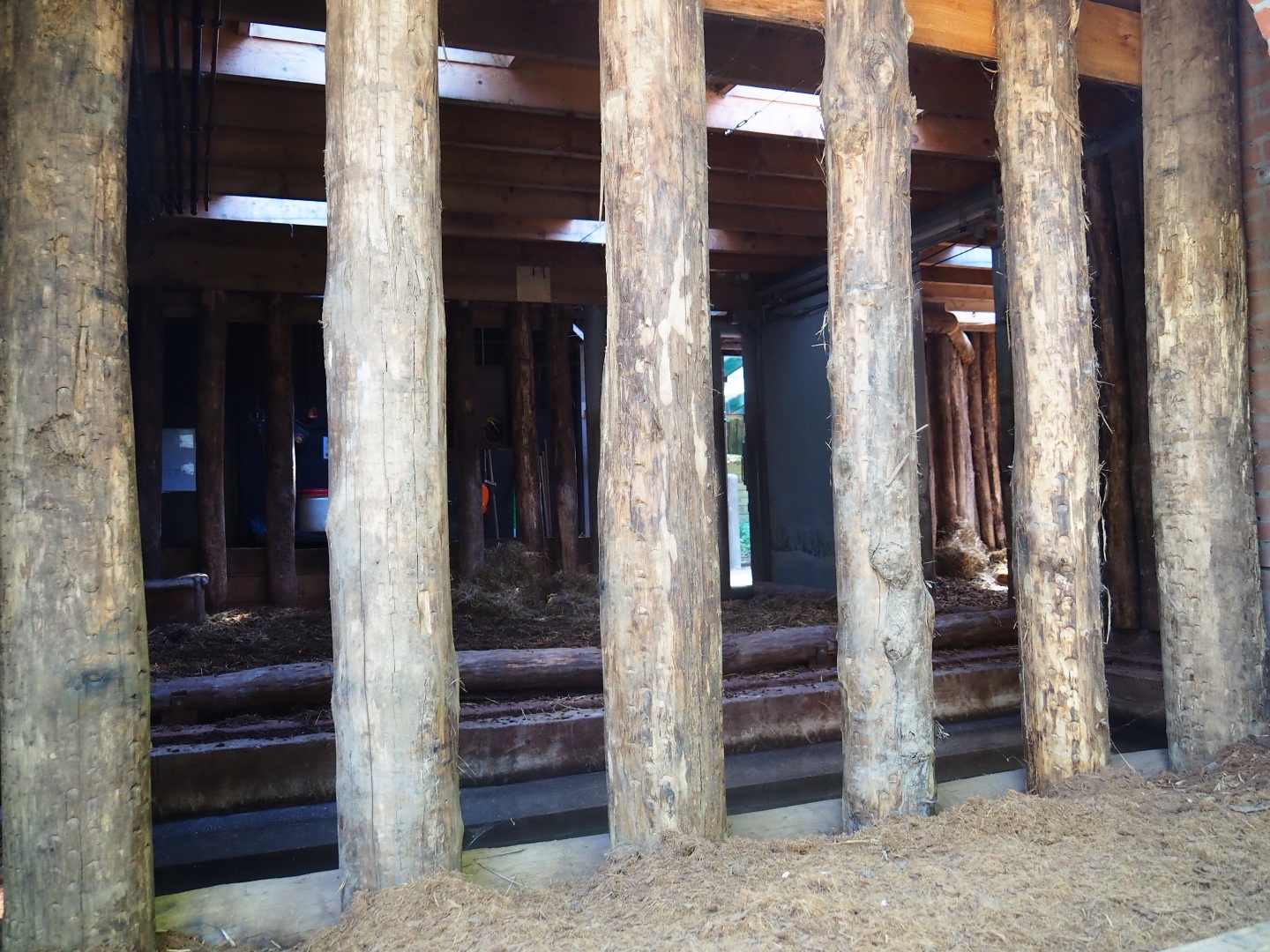 Indian rhinoceros stable