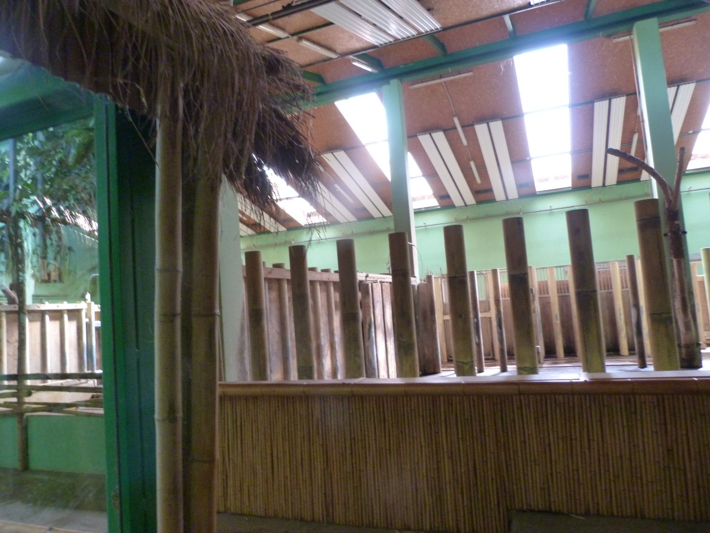 Indian rhinoceros stables -Zoo Plzeň (2025)