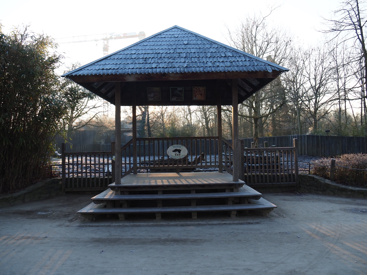 Indian rhinoceros viewing area (Jan 20th, 2019)