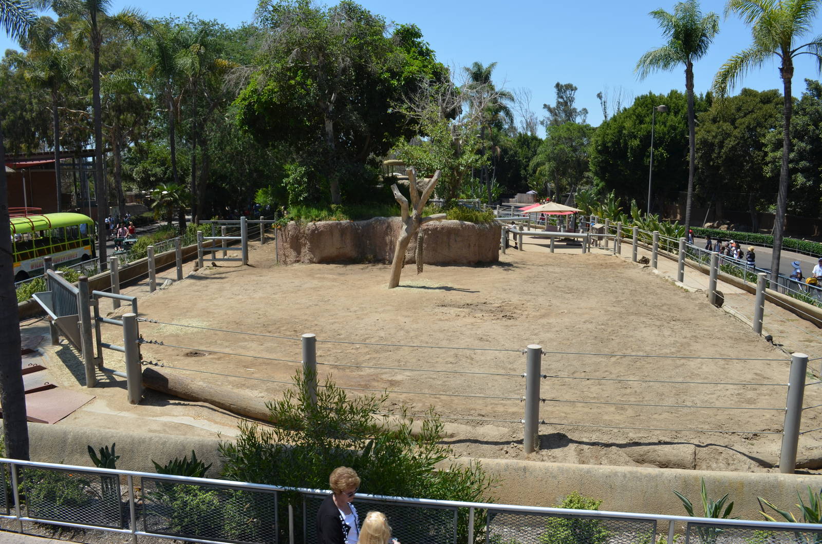 Indian Rhinoceros Yard