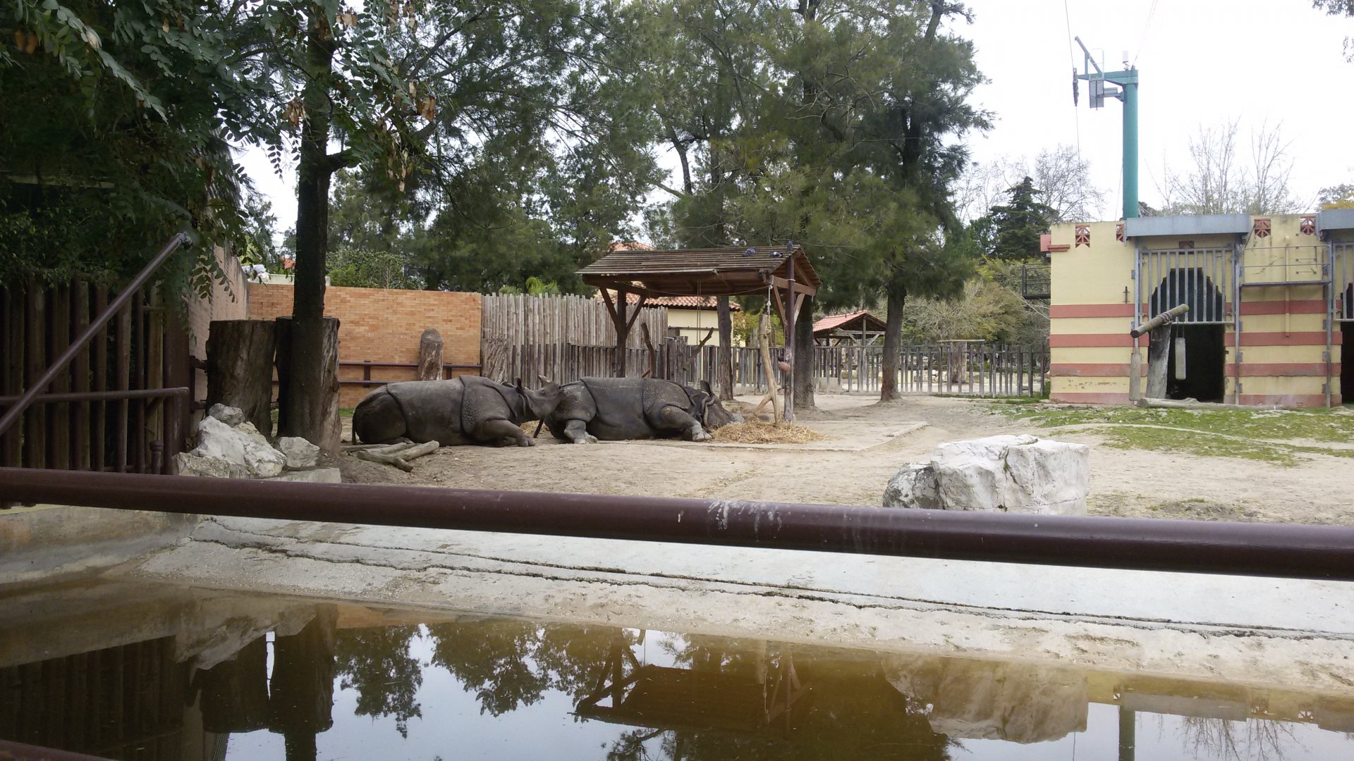 Indian Rhinos. 1.1 , Feb 2017