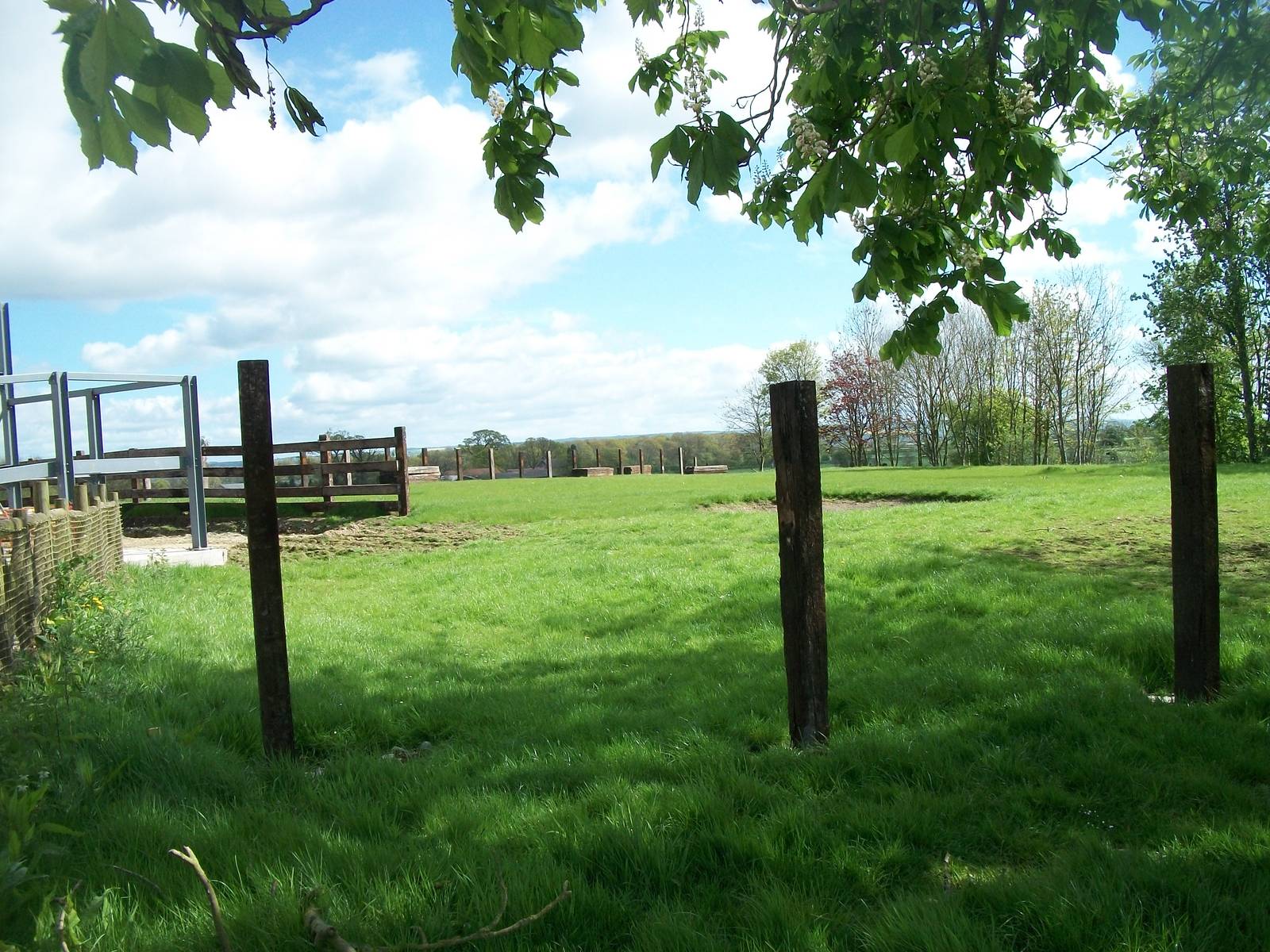 Indian Rhinos state of play, 6th May 2014