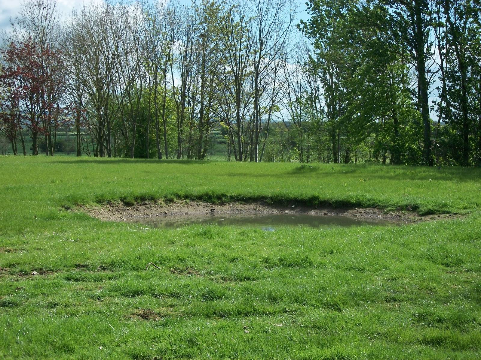 Indian Rhinos state of play, 6th May 2014