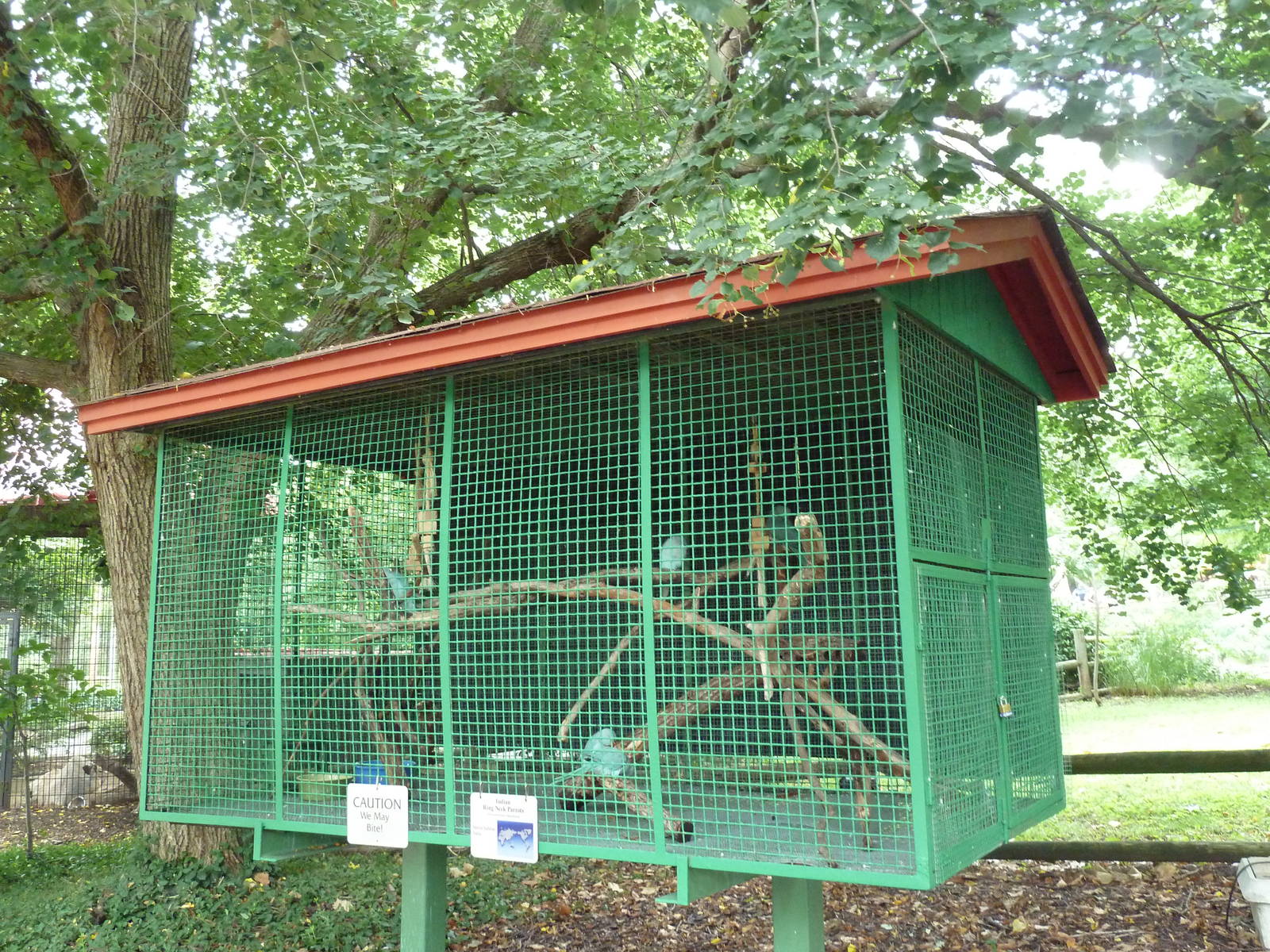 Indian Ring-Neck Parrot Cage